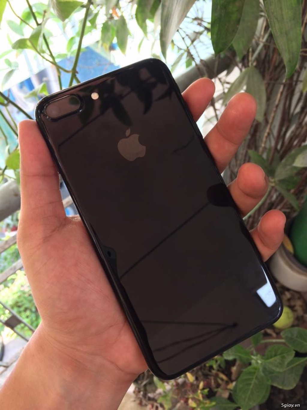 iPhone 7 Plus 128GB quốc tế Silver & Jet Black hàng Mỹ 99% Giá tốt