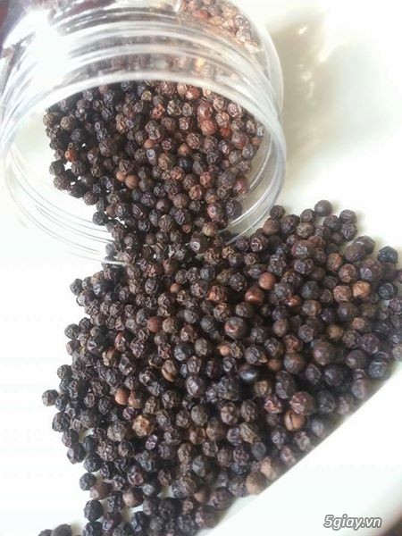 TIÊU - CÀ PHÊ NGUYÊN CHẤT - ĐĂK LĂK - 1