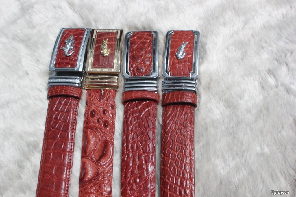Dây nịt ( thắt lưng) da cá sấu - 4
