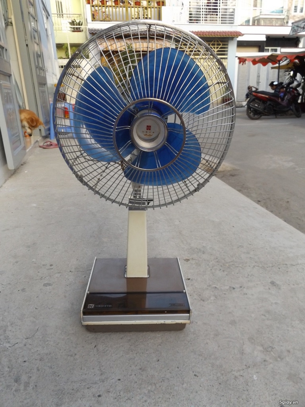 Quạt national Vương miện - 15