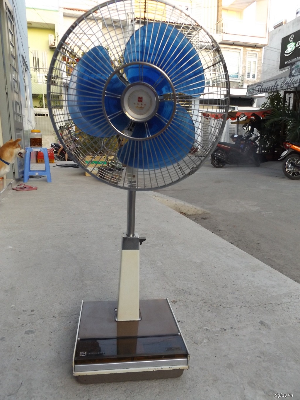 Quạt national Vương miện - 16