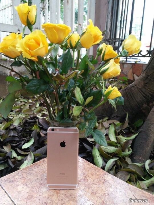 Bán buồn bán lẻ Iphone bản quốc tế, cam kết máy nguyên Zin - 1