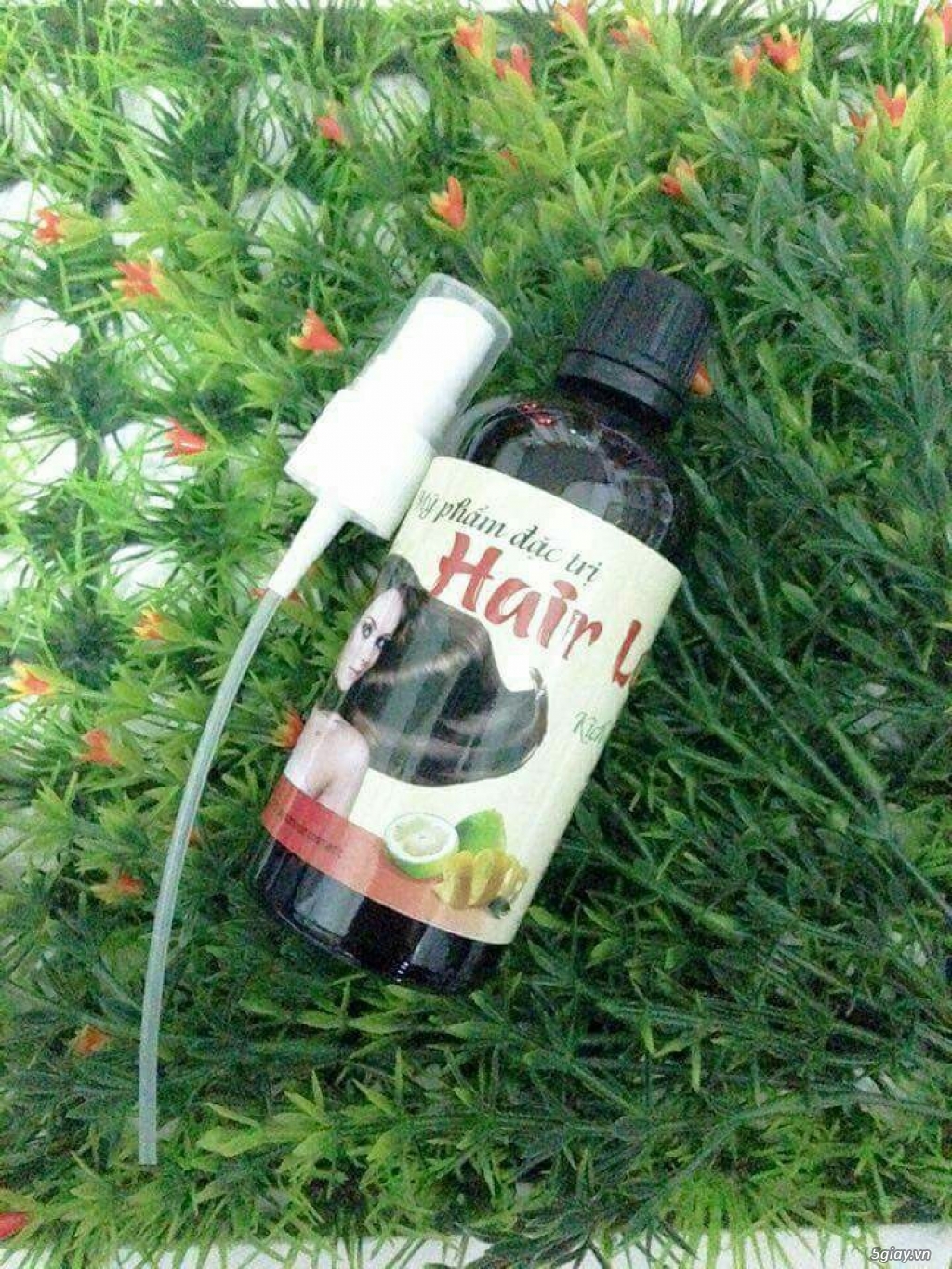 COMBO chăm sóc tóc hiệu quả từ thiên nhiên - 47