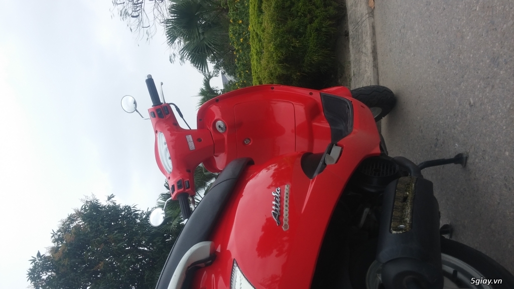 Attila eilizabeth. Khuyến mại 1triệu