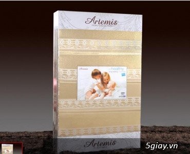 Xả hàng đệm bông ép Everon - 6