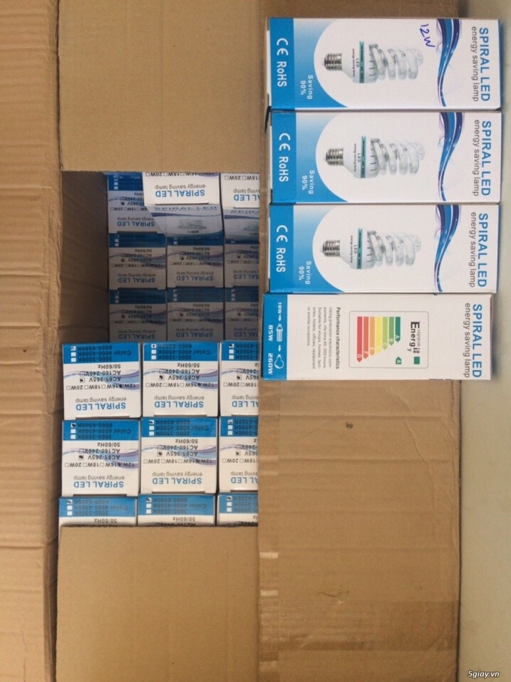 CẦN SANG 1 LÔ BÓNG ĐÈN LED - 4