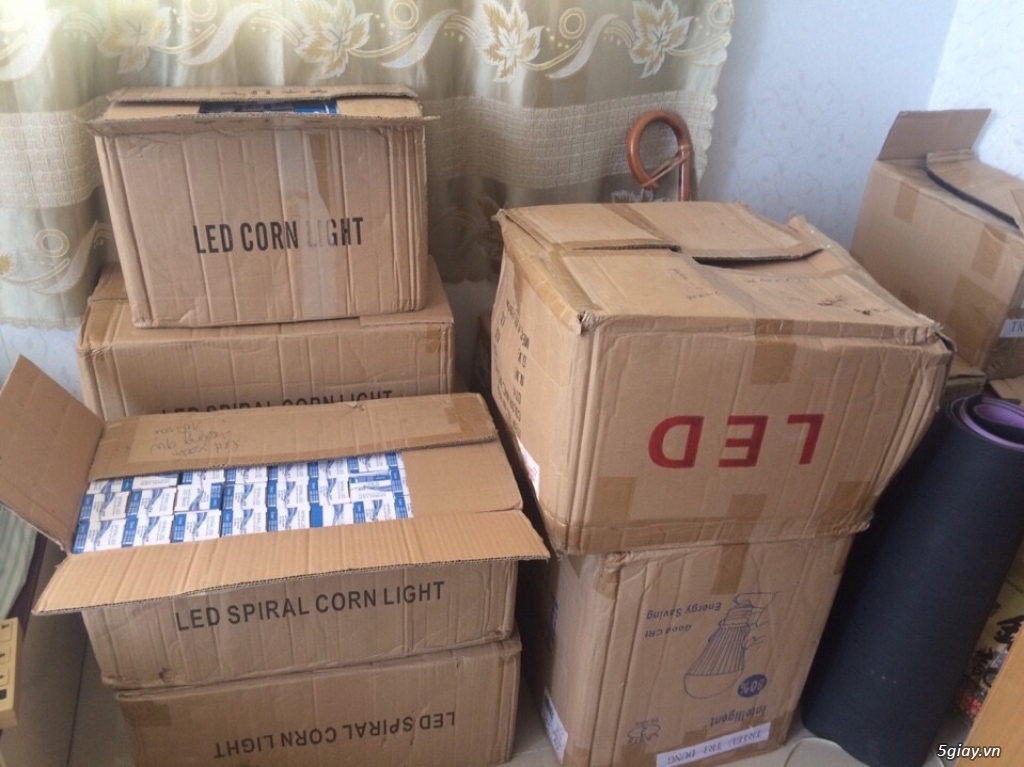 CẦN SANG 1 LÔ BÓNG ĐÈN LED - 2