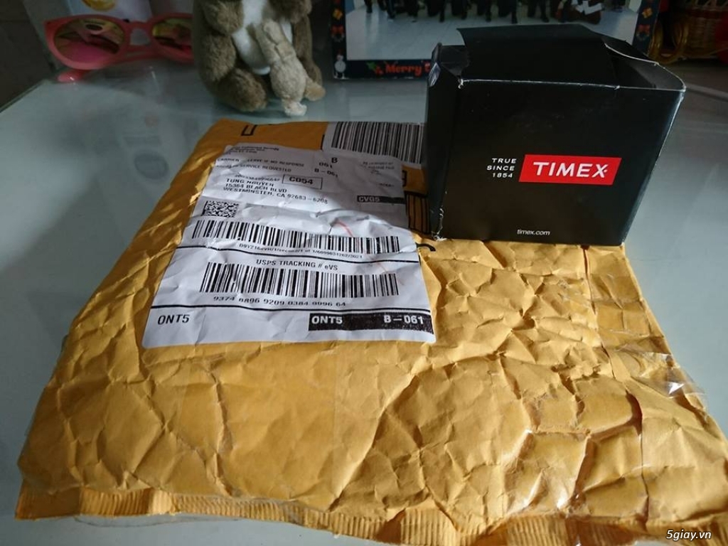 Timex Taft Street New 100% Fullbox-Shipping by Amazon (Đầy đủ chứng từ