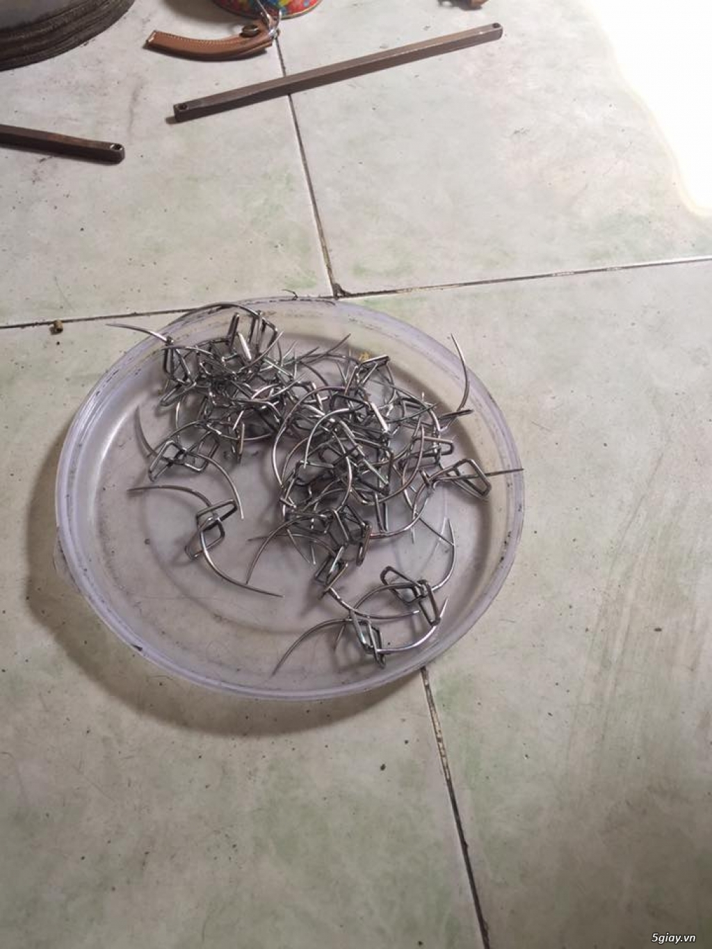 Cung cấp cựa gà các loại ! - 17