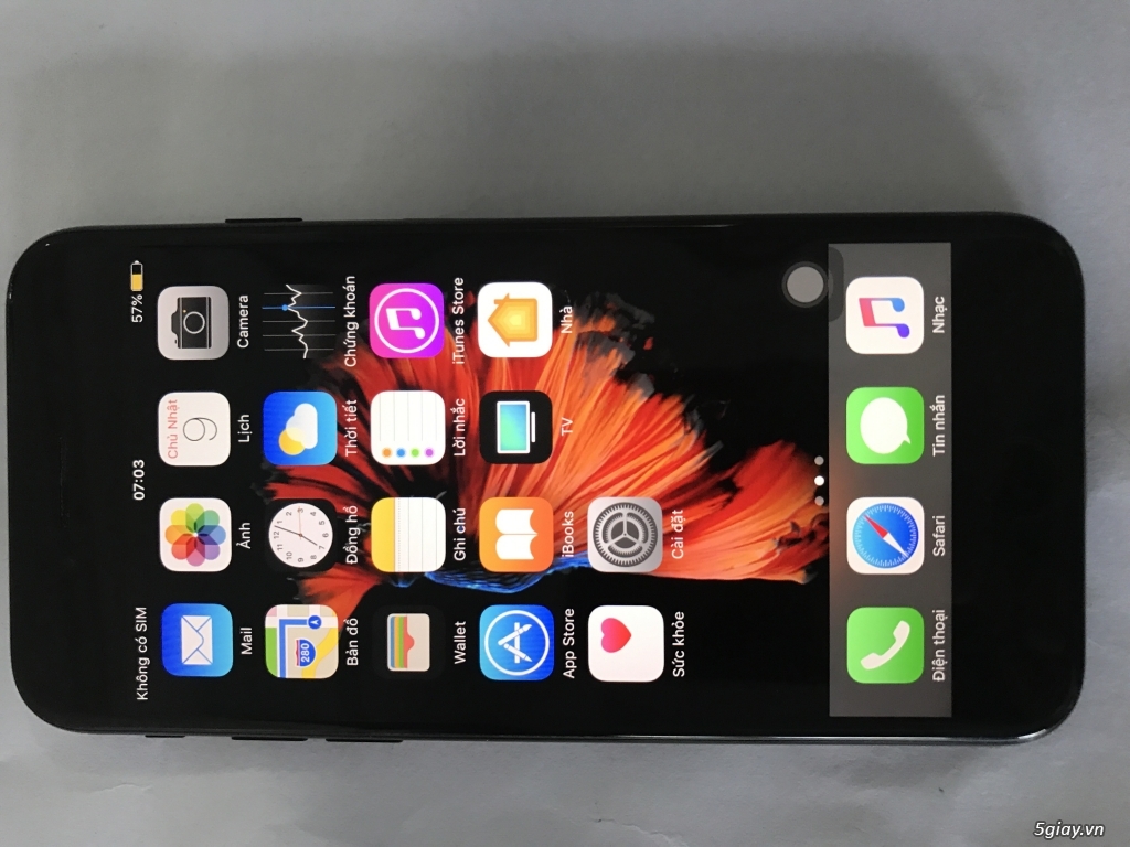 Iphone 7