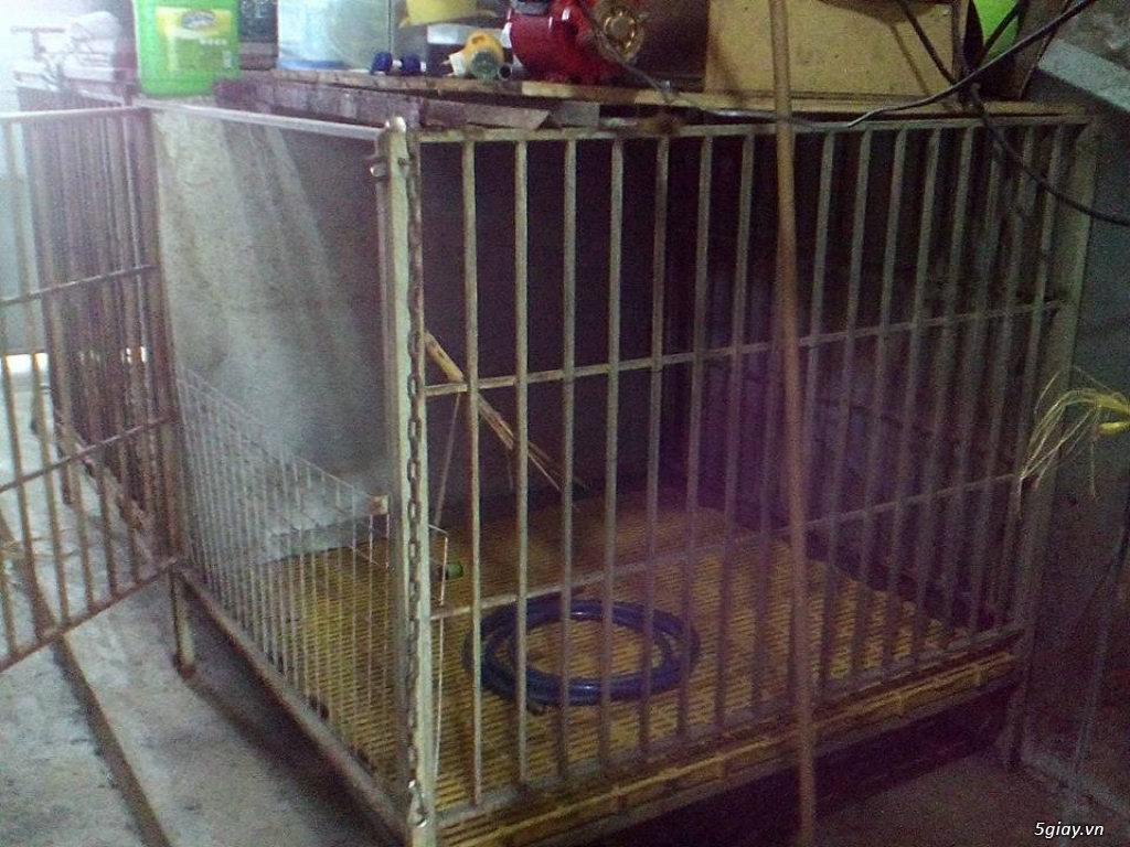 Cho thuê trang trại và dung cụ chăn nuôi - 2