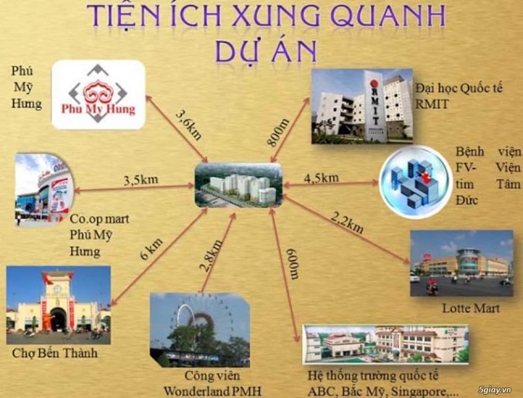 Chính thức mở bán dự án căn hộ Tara Residence MT Tạ Quang Bửu - 3