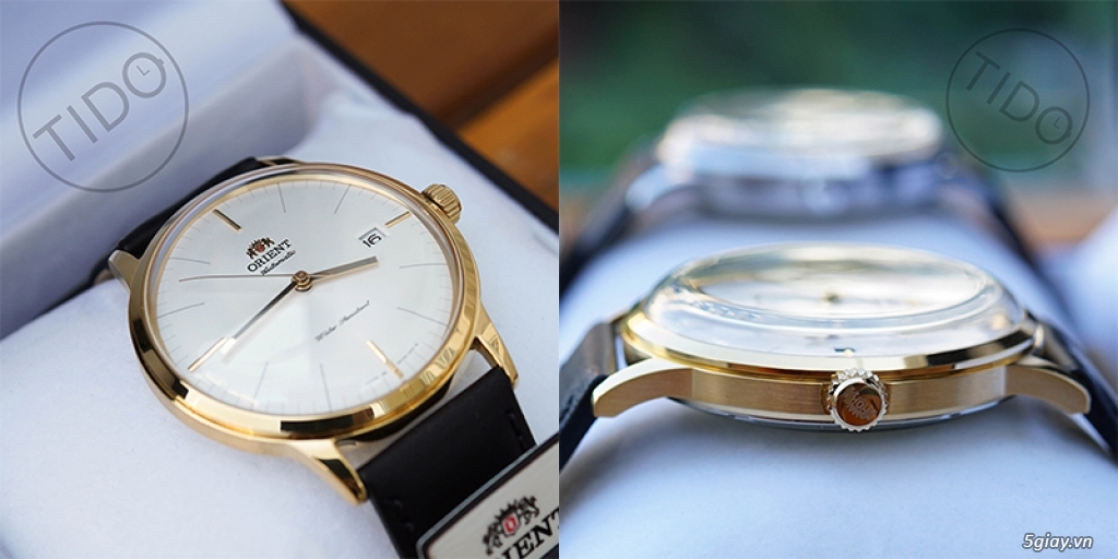 TIDOWATCH - Đồng hồ SWISS MADE, JAPAN xách tay giá tốt! - 15
