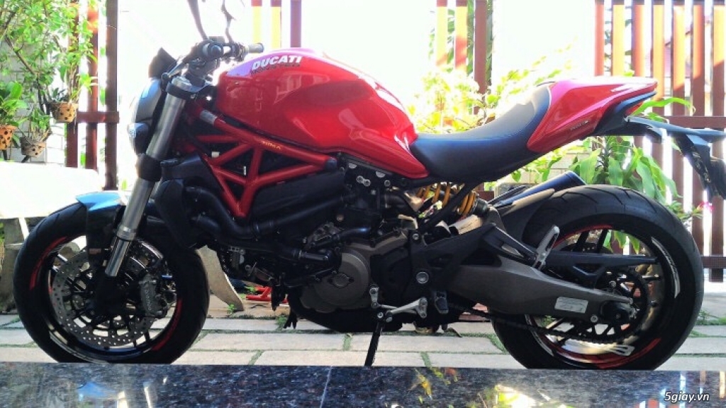 Ducati Monster 821 - 2016 như thùng. - 3