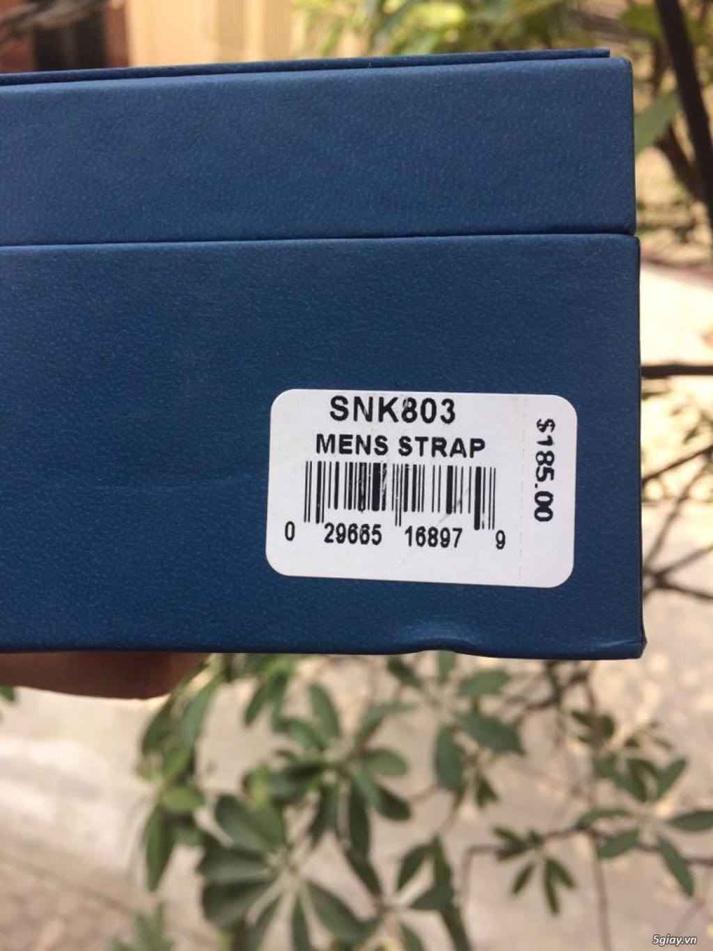 Giao lưu seiko5 size 38 với size lớn hơn - 1