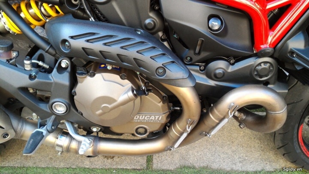 Ducati Monster 821 - 2016 như thùng.