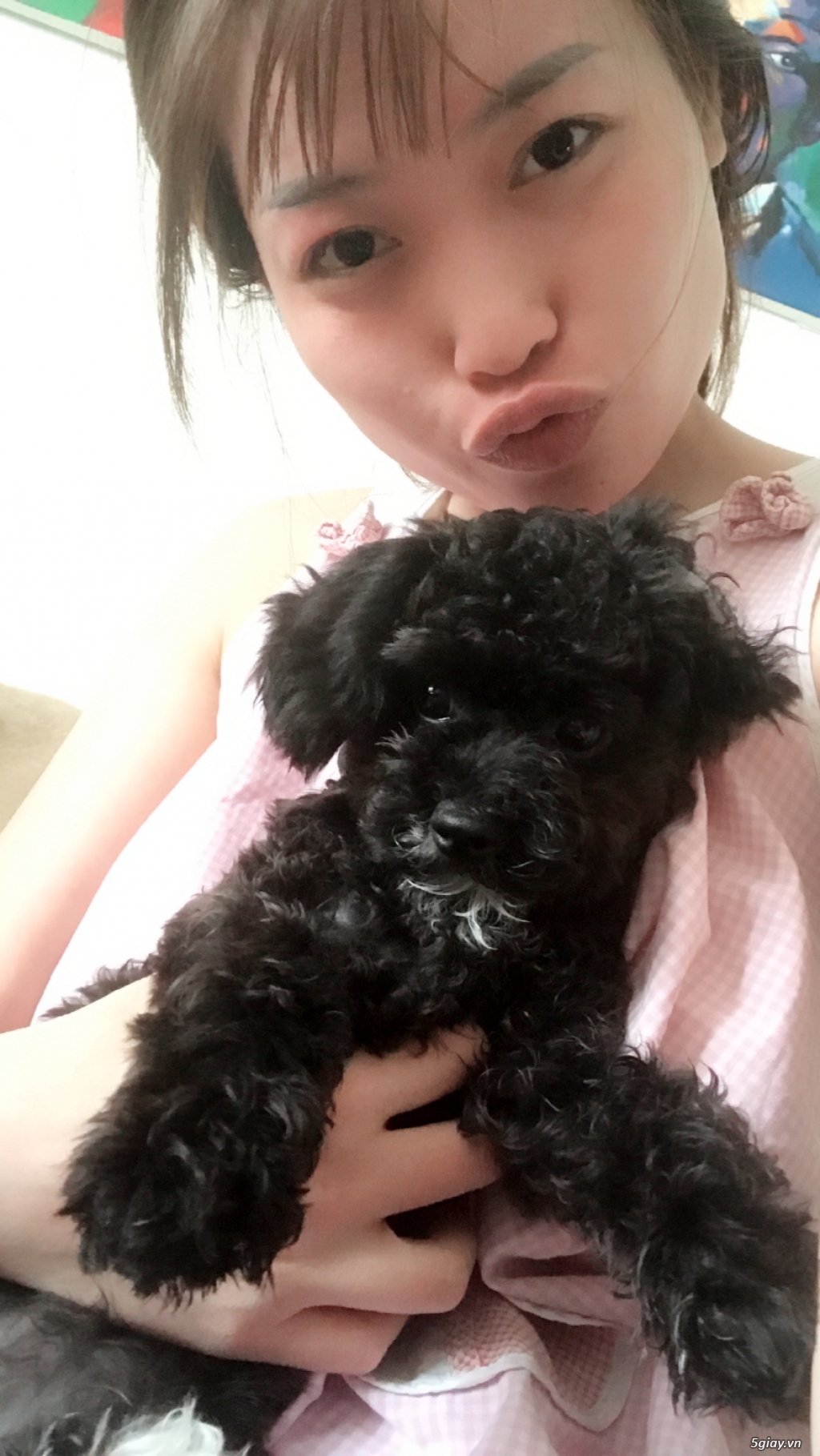 Tìm nhà mới cho con  ở sài gòn nhé! - 2