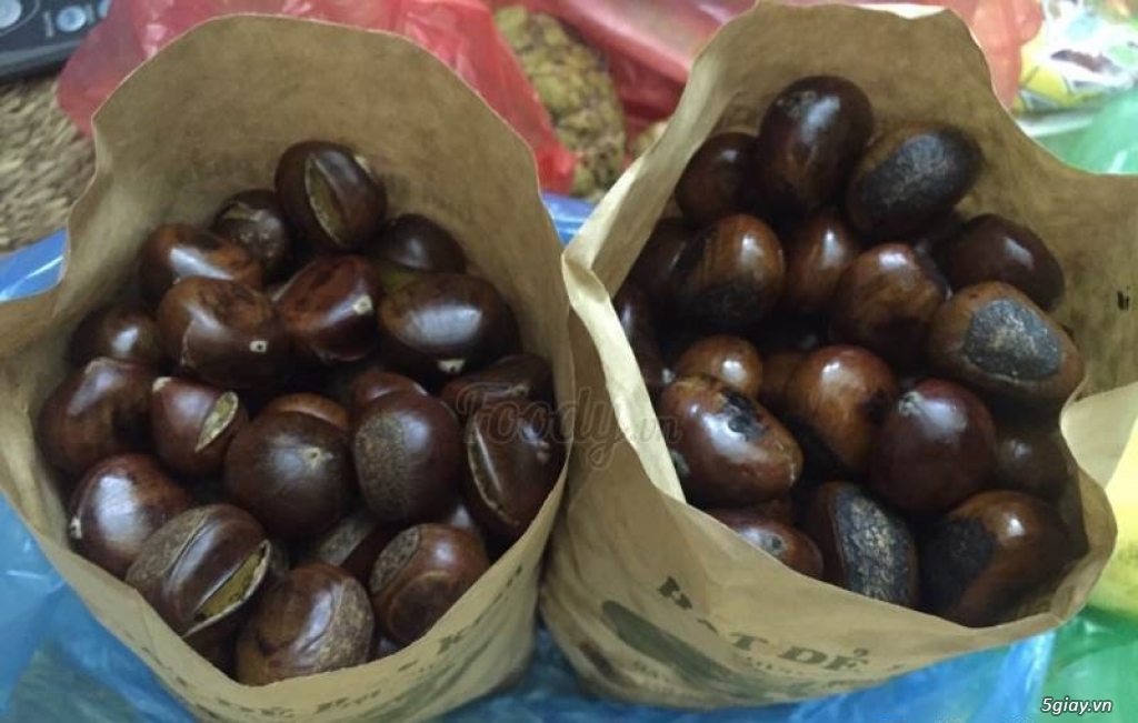 Hạt dẻ hcm, hạt dẻ tp hcm, hạt dẻ tươi hcm, hạt dẻ trùng khánh tphcm - 18