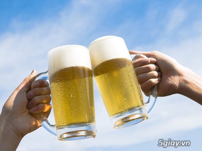 Công ty Cổ phần bia Sài Gòn Đồng Nai chuyên cung cấp bia tươi,bia hơi - 2