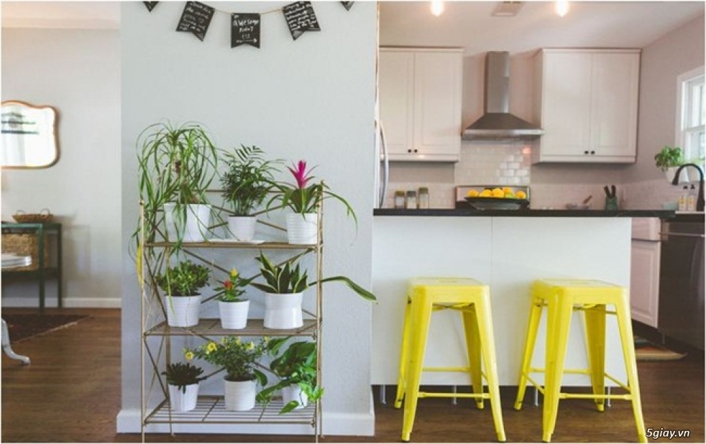 CHẬU CÂY NỘI THẤT KHÔNG GIAN BẾP COMPOSITE HAVICO - 2