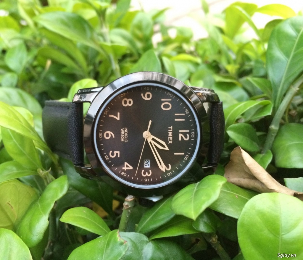 Seiko,Orient,Timex,Invicta giá tốt. - 15