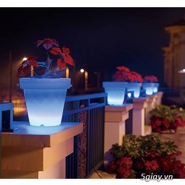 CHẬU TRỒNG CÂY HAVICO