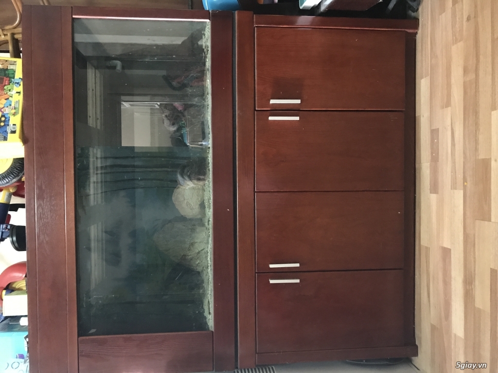 Hồ cá thuỷ sinh