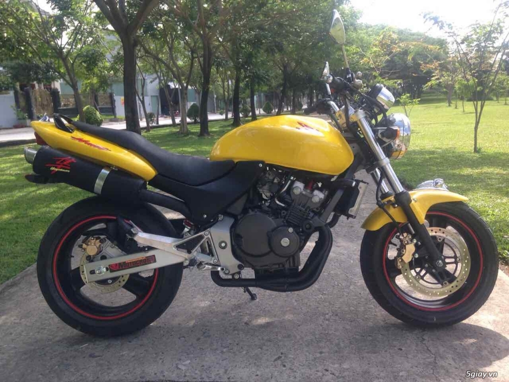 Hornet 250 biển số cù lủ VIP - 1