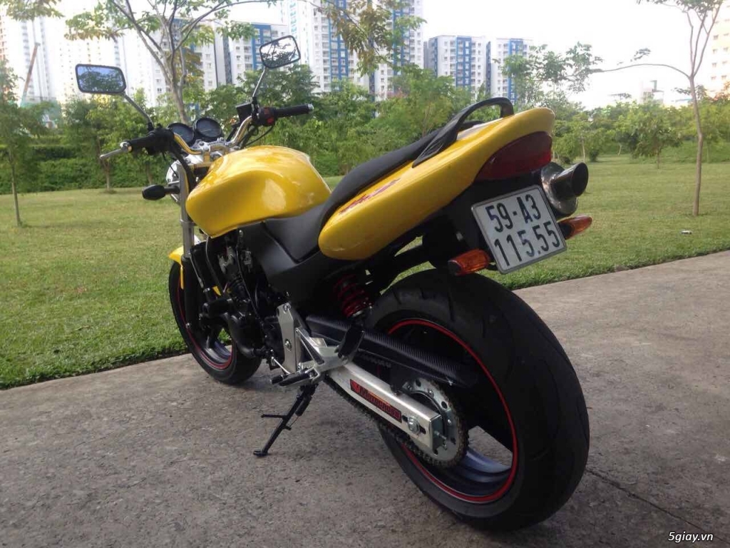 Hornet 250 biển số cù lủ VIP - 2