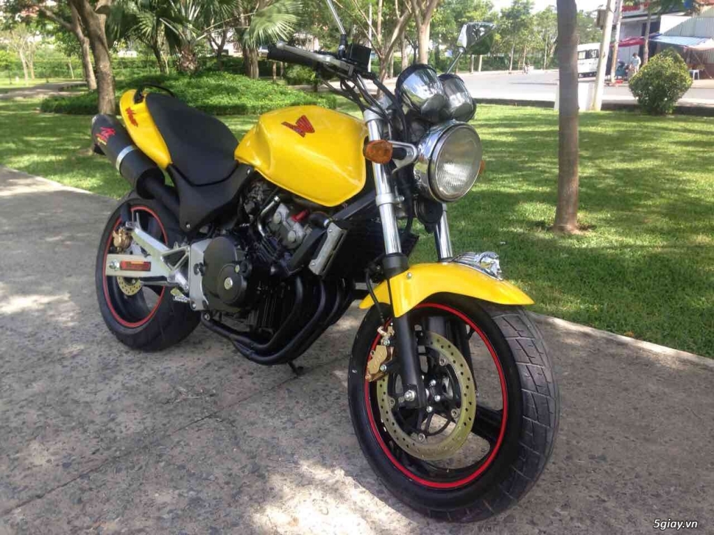 Hornet 250 biển số cù lủ VIP