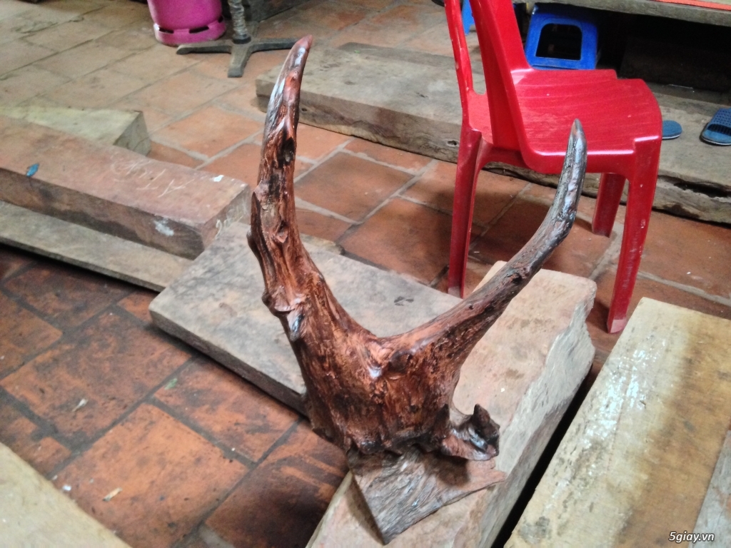 Bán sừng bò gỗ trắc