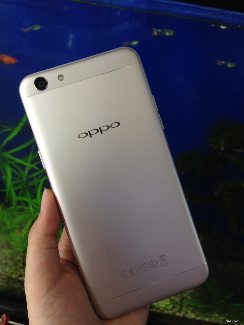 Oppo F3 7390k đặt Trước Nhận Qua Trị Gia 1150k Hỗ Trợ Trả Gop 0 Tp Hồ Chi Minh Five Vn