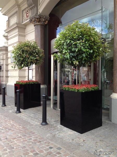 THIẾT KẾ CẢNH QUAN VỚI CHẬU COMPOSITE CAO CẤP - 1