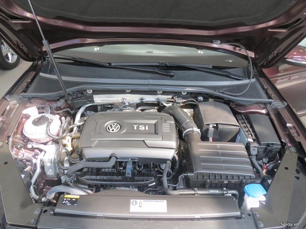 Bán xe Volkswagen Passat màu nho cực sang, cực hiếm  LH: 0973.097.627 - 4