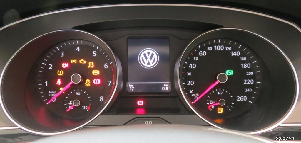 Bán xe Volkswagen Passat màu nho cực sang, cực hiếm  LH: 0973.097.627 - 12