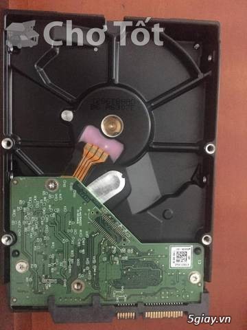 [HCM]: Western Digital Blue 99% and Recertified 1TB - 1