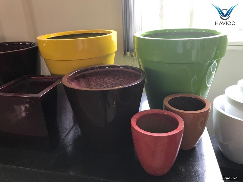 Chậu havico - 3