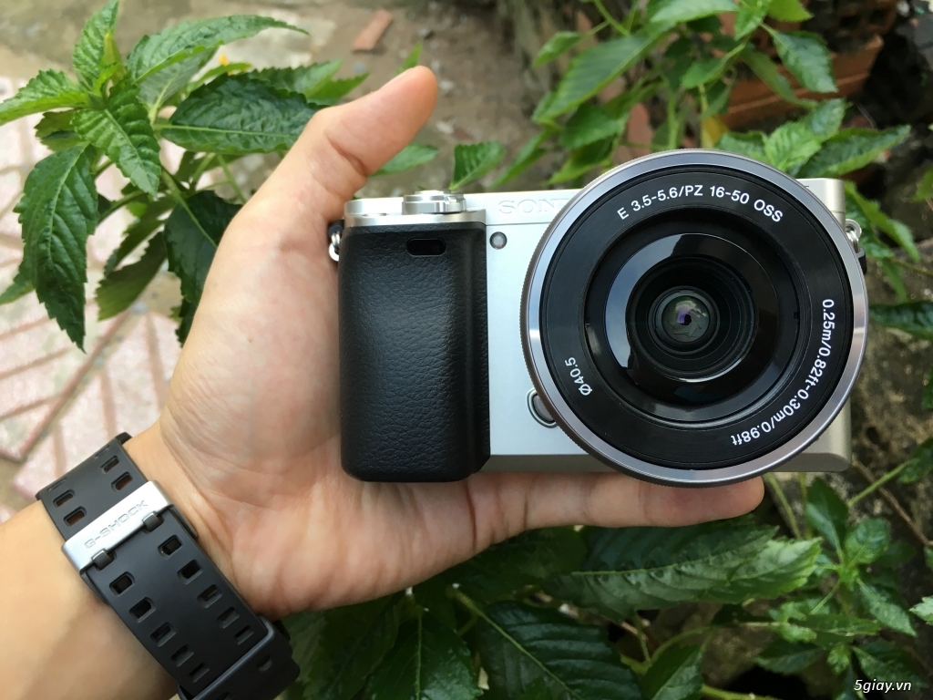 Sony a6000 bạc, kit 16-50, cần giao lưu canon nikon các đời - 1
