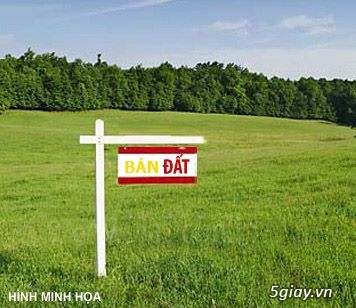 Cần bán gấp lô đất gần 4000m2
