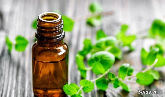 Tinh dầu bạc hà nguyên chất