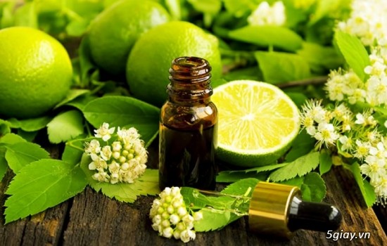 Tinh dầu bạc hà nguyên chất - 2