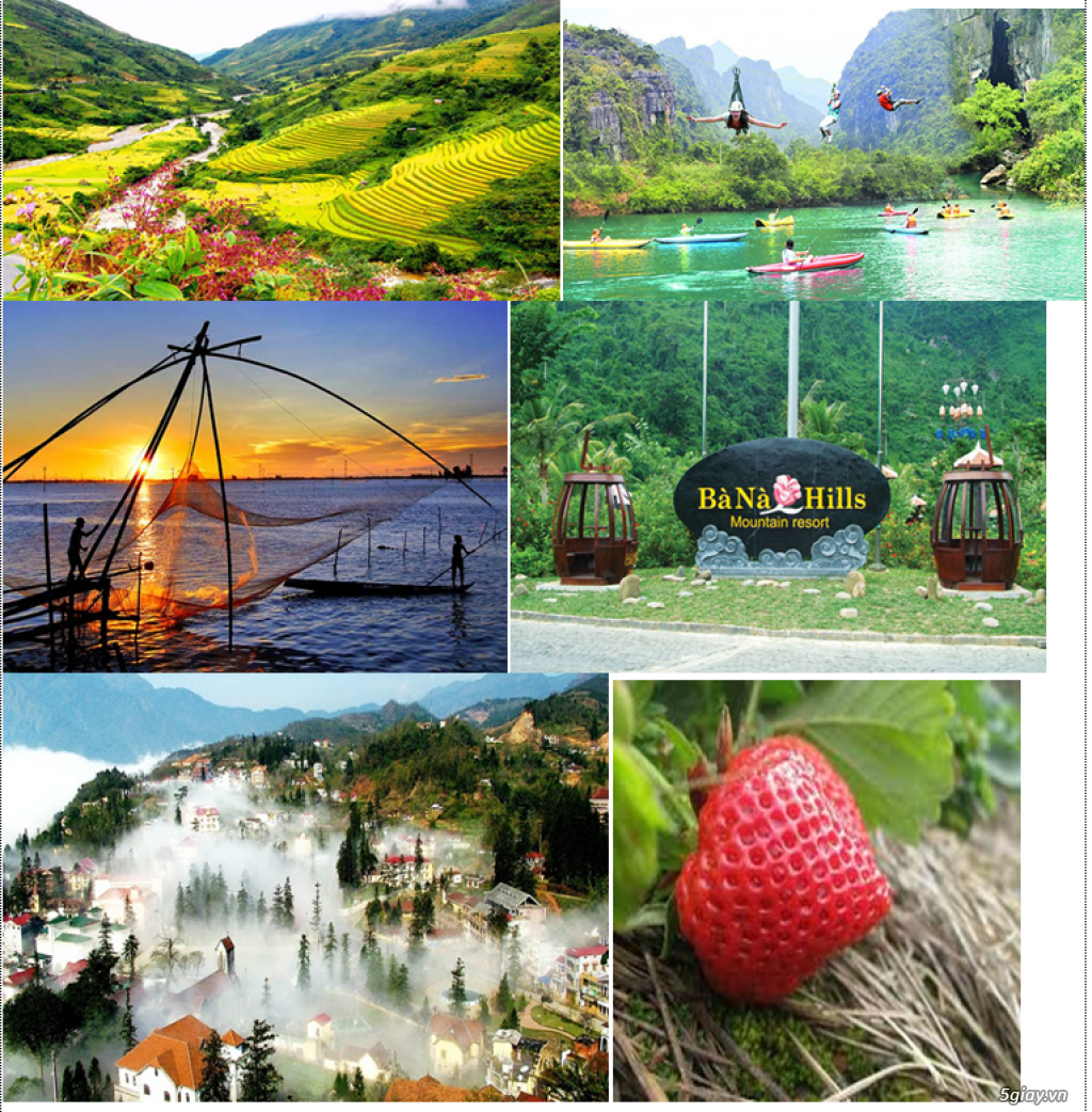 VÉ MÁY BAY ĐI GẤP - 1