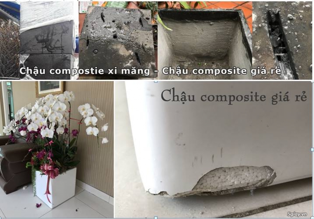 Phân biệt chậu havico - 1