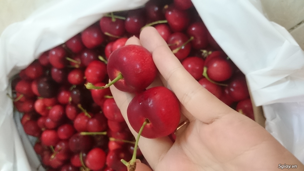 Trái cây Mỹ nhập khẩu