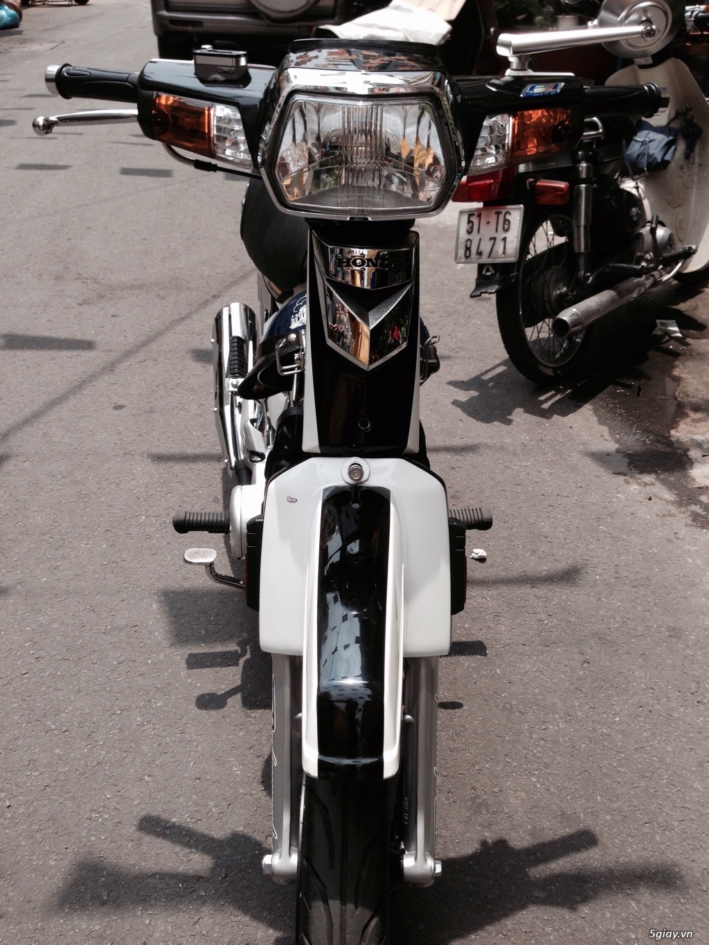 Super Dream cọp - 3