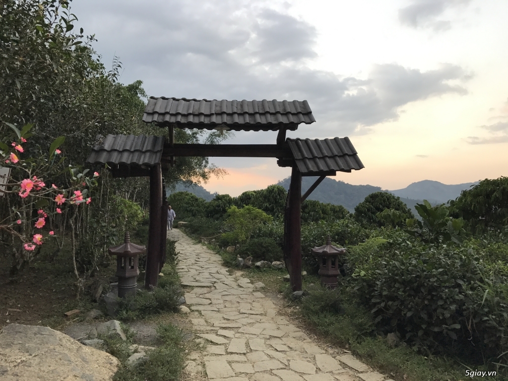 Linh Quy Pháp Ấn - 12