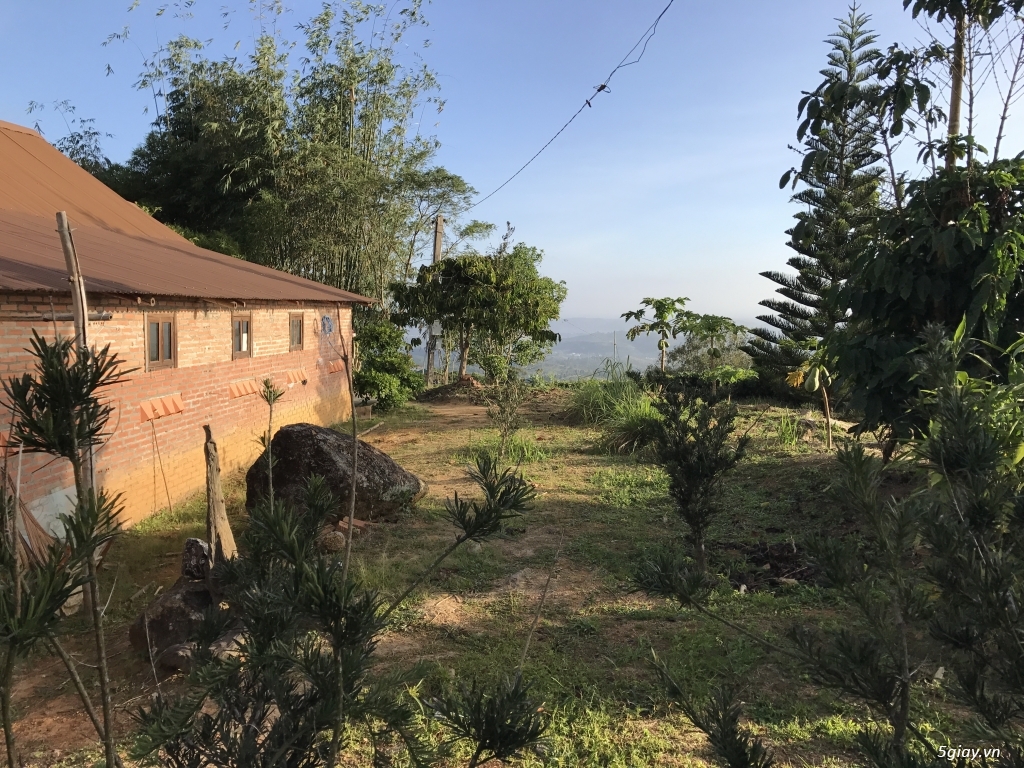 Linh Quy Pháp Ấn - 14