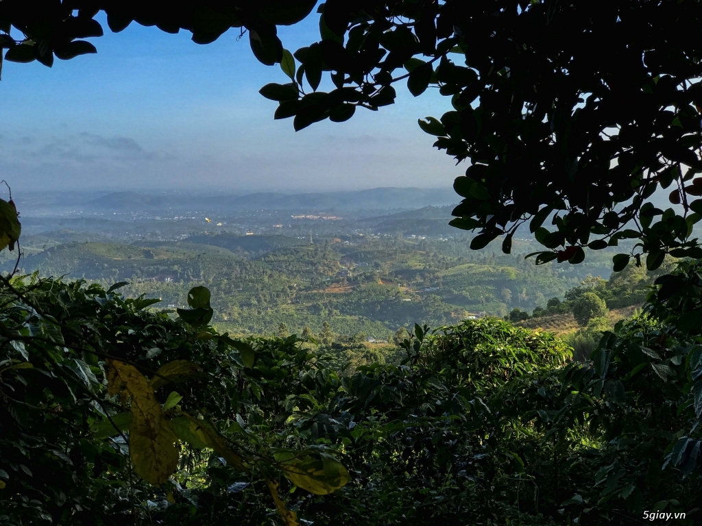 Linh Quy Pháp Ấn - 16
