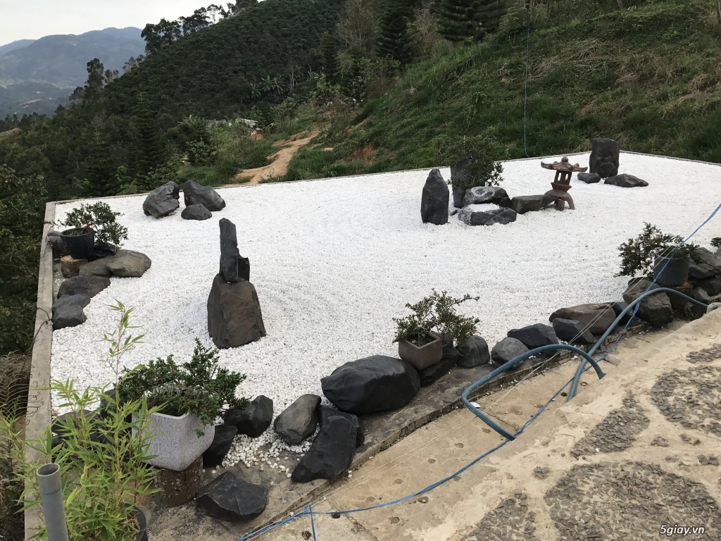 Linh Quy Pháp Ấn - 11