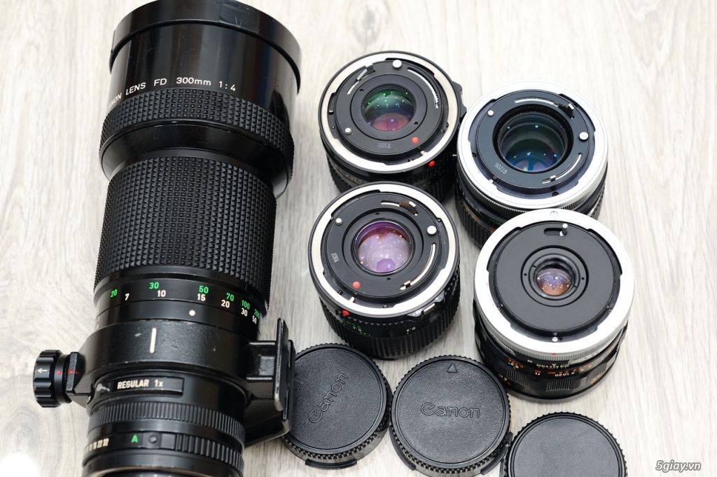 Canon EF 24-70/4L,Nikon 85/1.8G,Leica M.Leica R,Carl Zeiss T* - 12